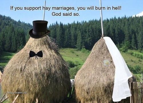 Hay Marriages