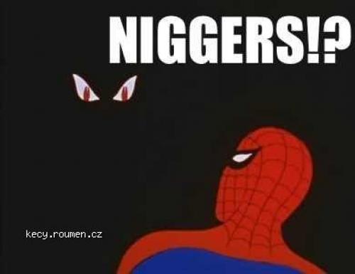 spiderman niggers