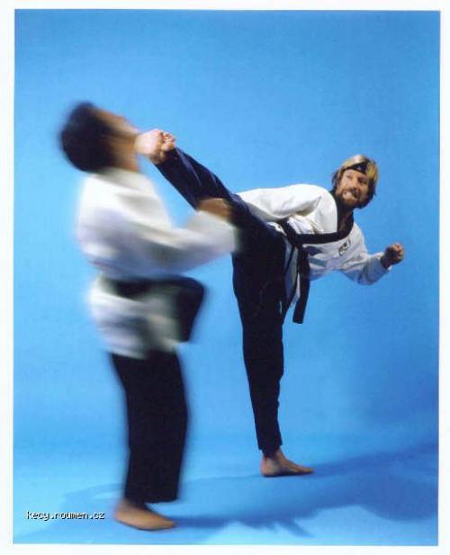 chuck norris spinning roundhouse kick