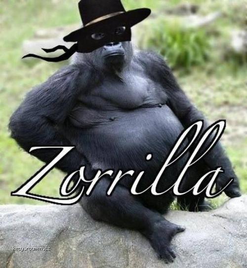 Zorrilla 