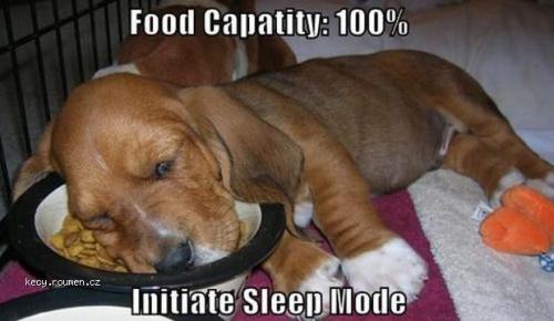 food capacity