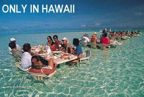  Hawaii 
