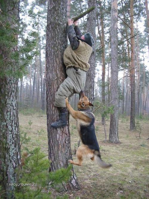 lovec a jeho  pes