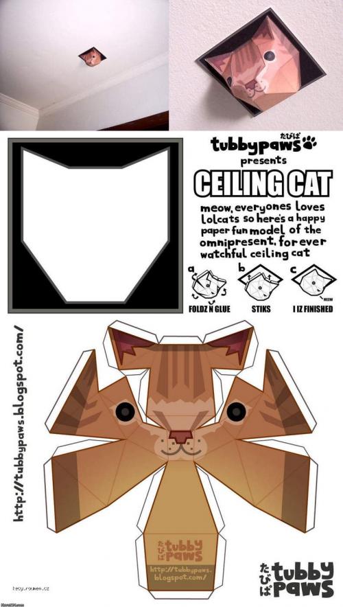  ceiling cat paper 