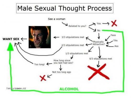  The Male Sexual Thought Process 