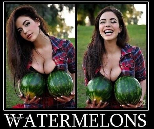 X Watermelons