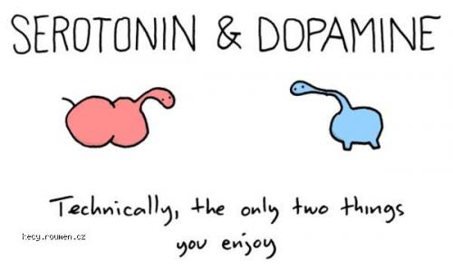 serotonin dopamine