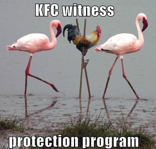 witness protection