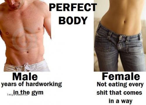  Difference between perfect bodies 