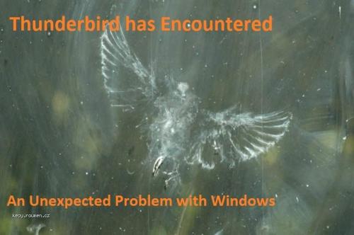 thunderbird fail