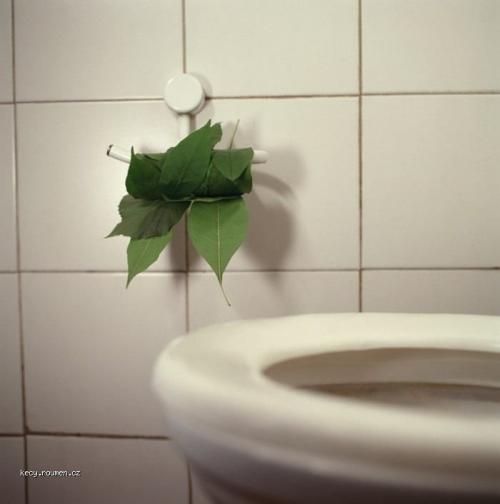  toaletak pro zelene 