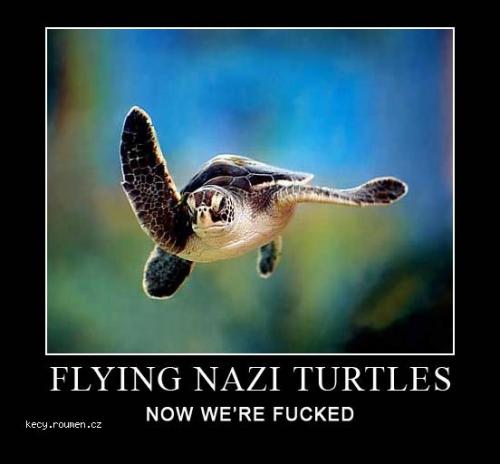  nazi turtles 