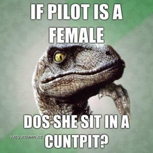  philosoraptor female pilot 