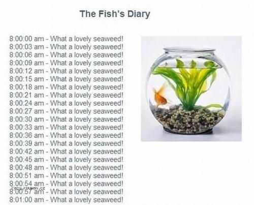 The fishs diary