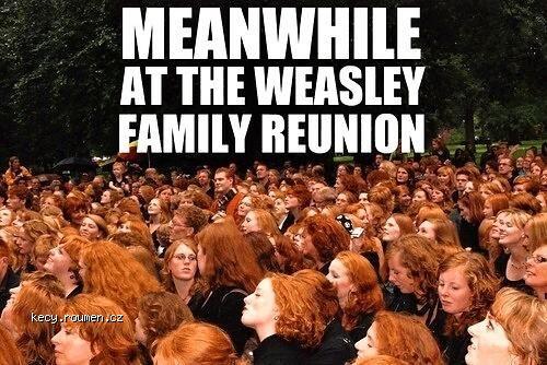  X Meanwhile at the Weasley family reunion 