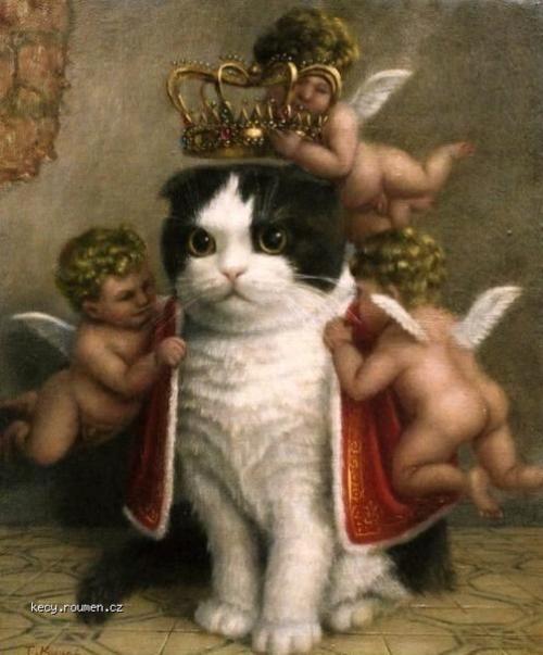  The Royal Cat 