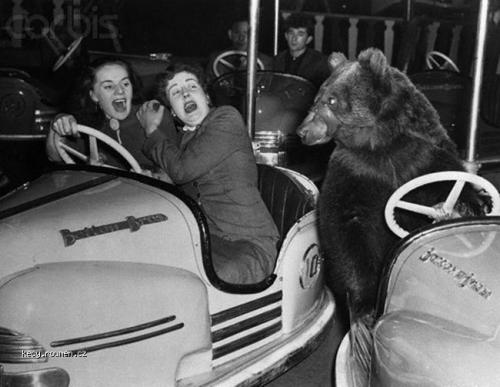 Z historie Medved v lunaparku