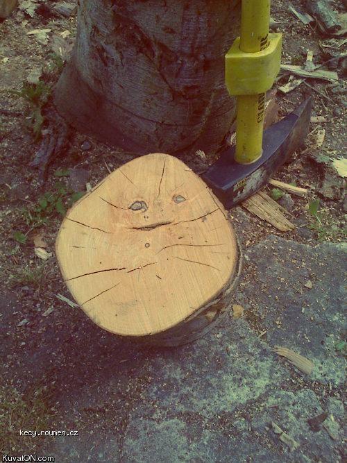  forever a log 
