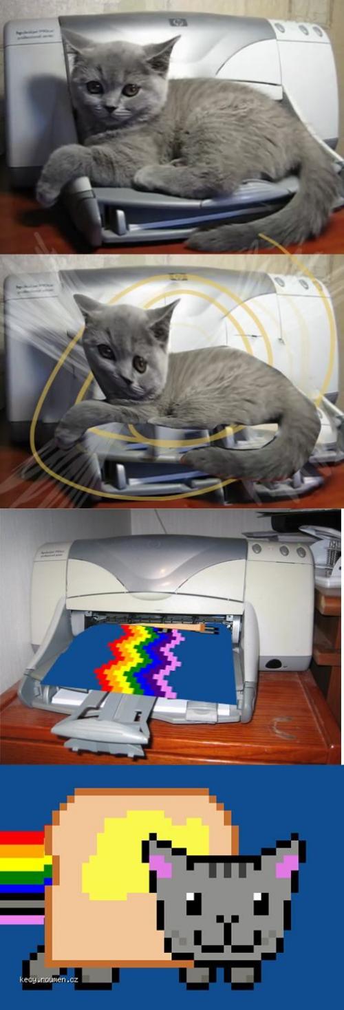  cat and printer videjnik first 