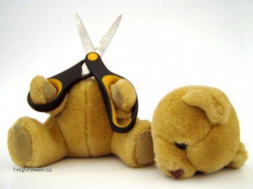  teddy suicide 