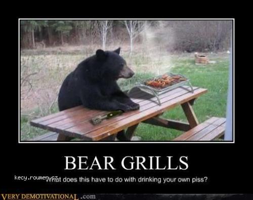 Bear grills again