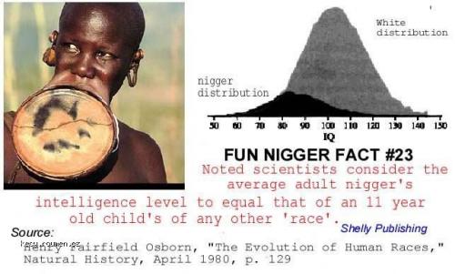 fun nigger fact