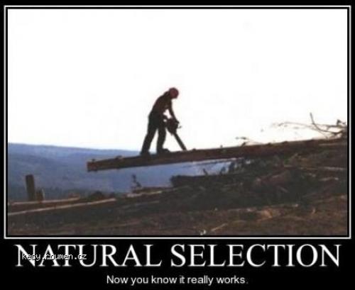 Natural selection
