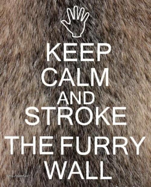  Keep Calm and Stroke the Furry Wall 
