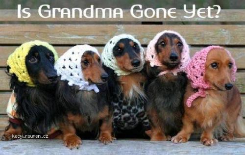  Is Grandma Gone Yet 