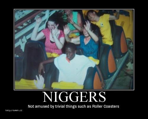  niggers roller 