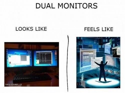 Duals monitors
