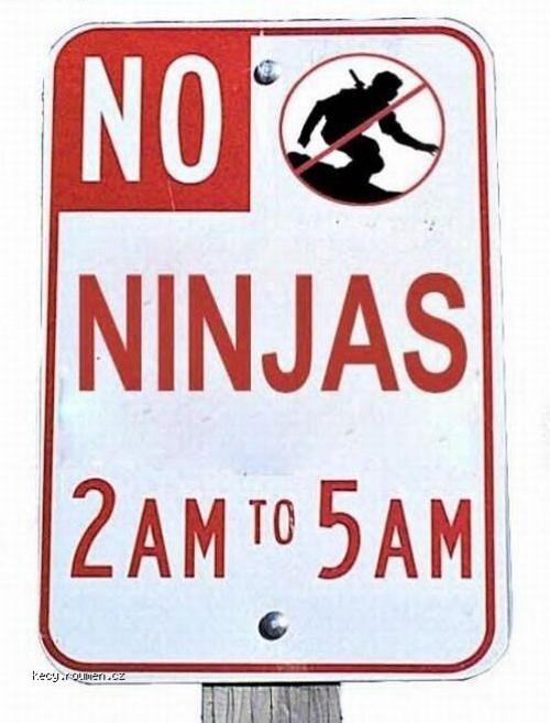 X No Ninjas