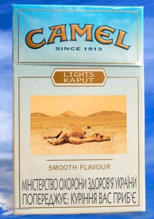  camel zdechl  
