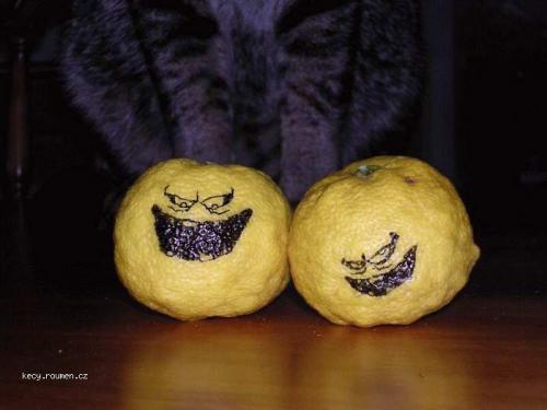  zle citrony 
