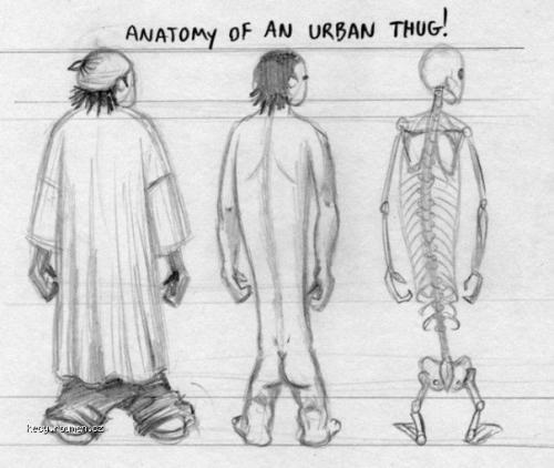 anatomy of homie