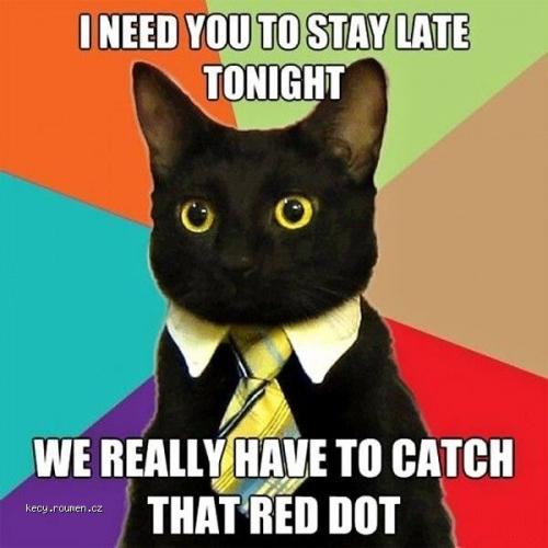 Stay Late Tonight