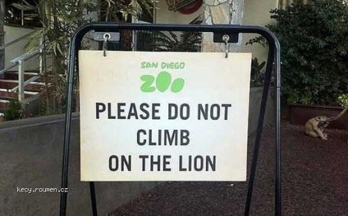  Do Not Climb On The Lion 