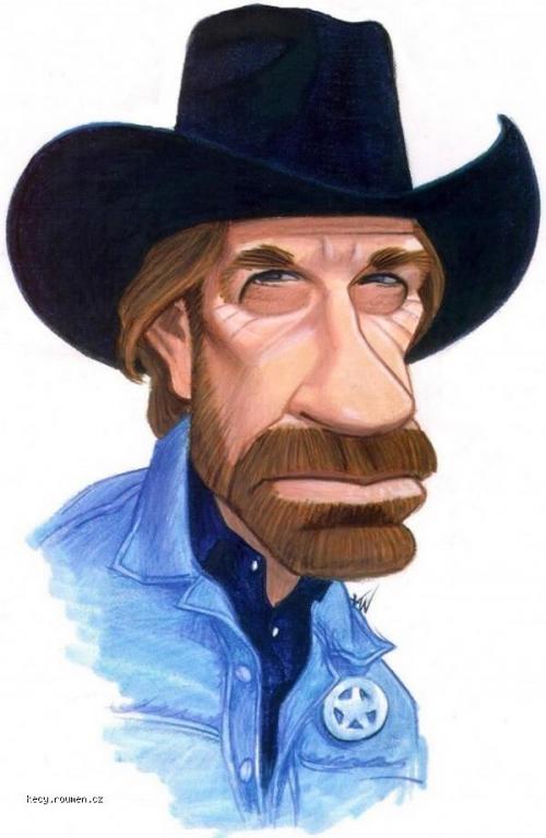  Chuck Norris can set ants on fire with a magnifying glass 