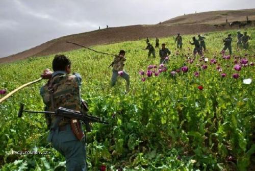  Opium war in Afghanistan1 