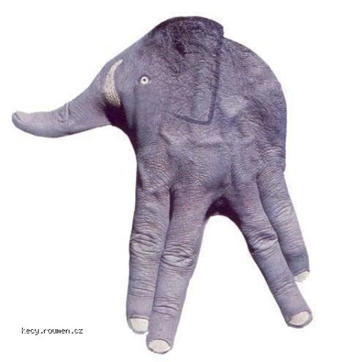  ruce slon 