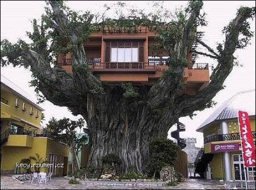  tree house 