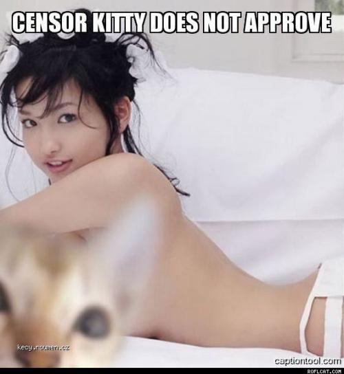 Censor Kitty Does Not Approve