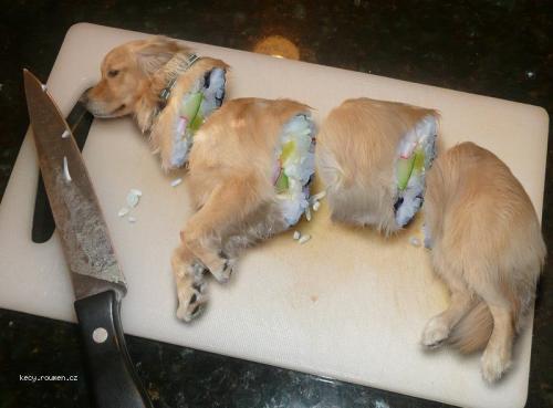  Sushi Dog 