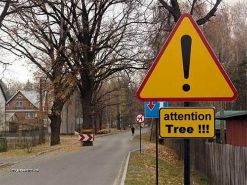  attention tree 