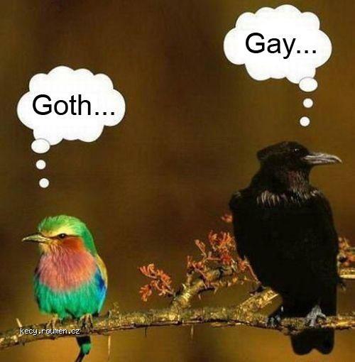 goth gay