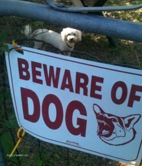 Misleading Beware Of Dog Sign
