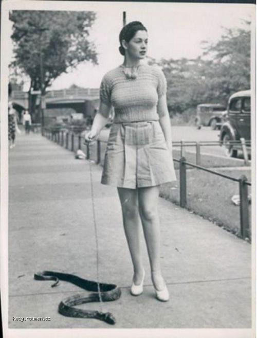  Taking The Pet Snake For A Walk 