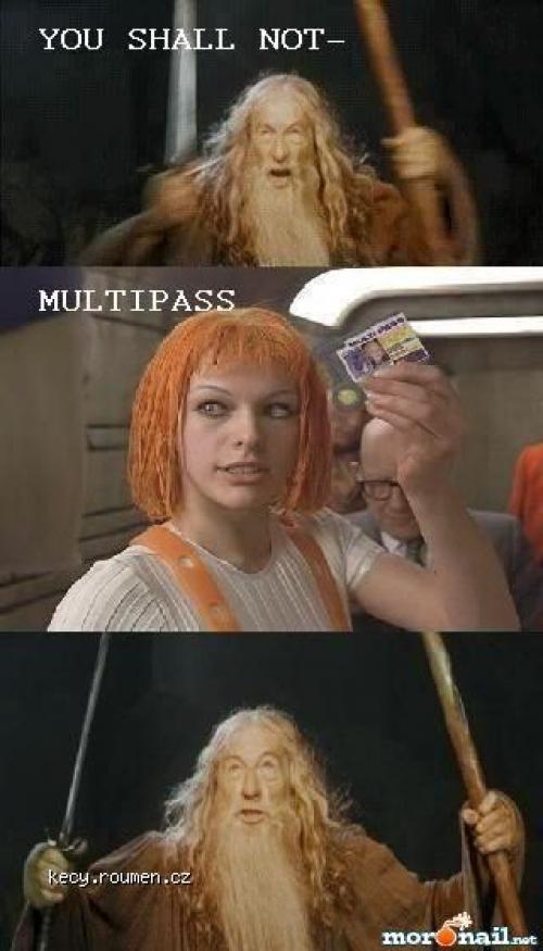 you shall not multipass