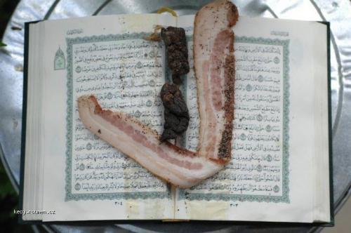 slaninova zalozka v koranu