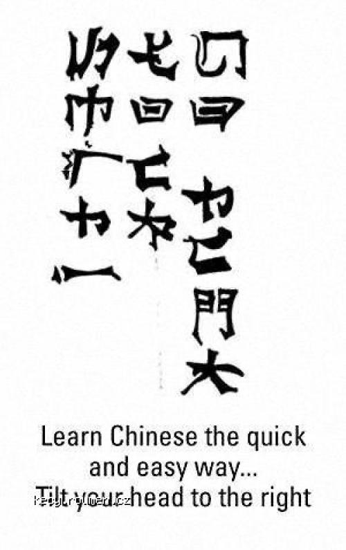  learn chinese qick 